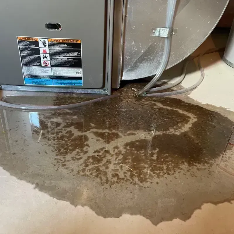 Appliance Leak Cleanup in Cumberland, KY